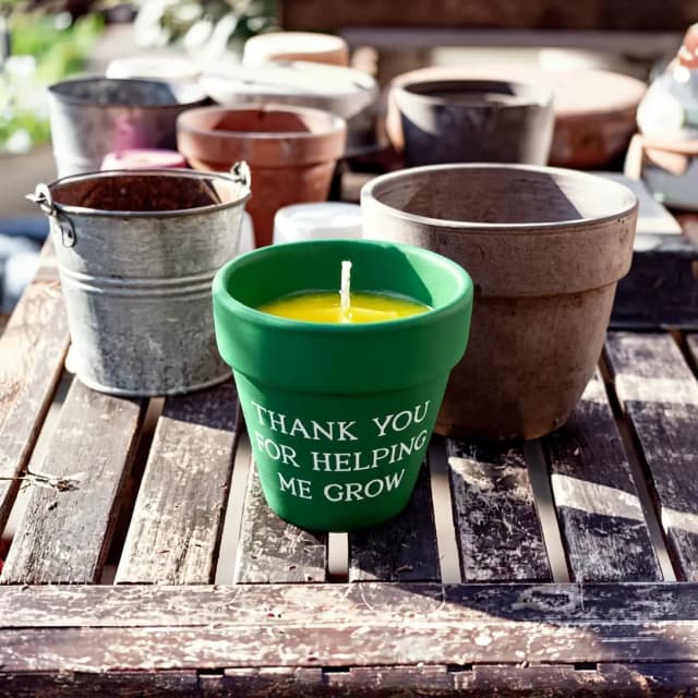 Result: Candle in garden